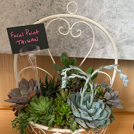Зажимы для кромок - RP50-100 / RP50-150 Зажимы для кромок - RP50-100 / RP50-150