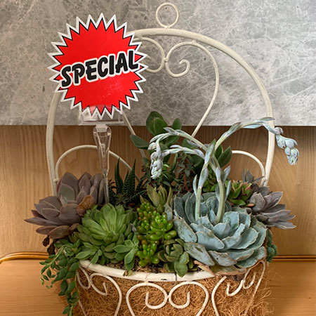 Зажимы для кромок - RP50-100 / RP50-150 Зажимы для кромок - RP50-100 / RP50-150