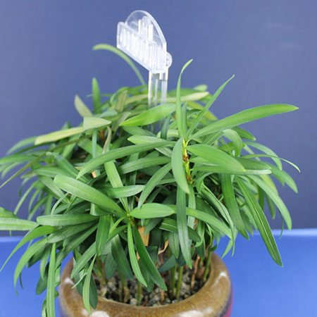 迷彩邊夾 - ISR150-60 迷彩邊夾 - ISR150-60